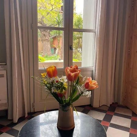 Villa Maison 3 Centre Ville, Jardin Et Bassin Privatifs