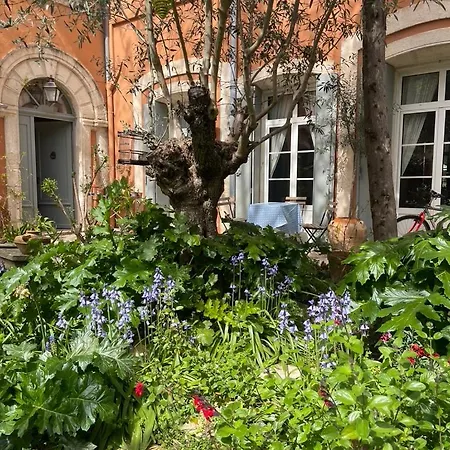 Maison 3 Centre Ville, Jardin Et Bassin Privatifs Villa *
